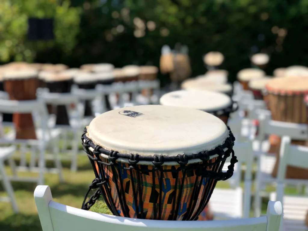 Galeria de drums 5 Galeria de drums 5