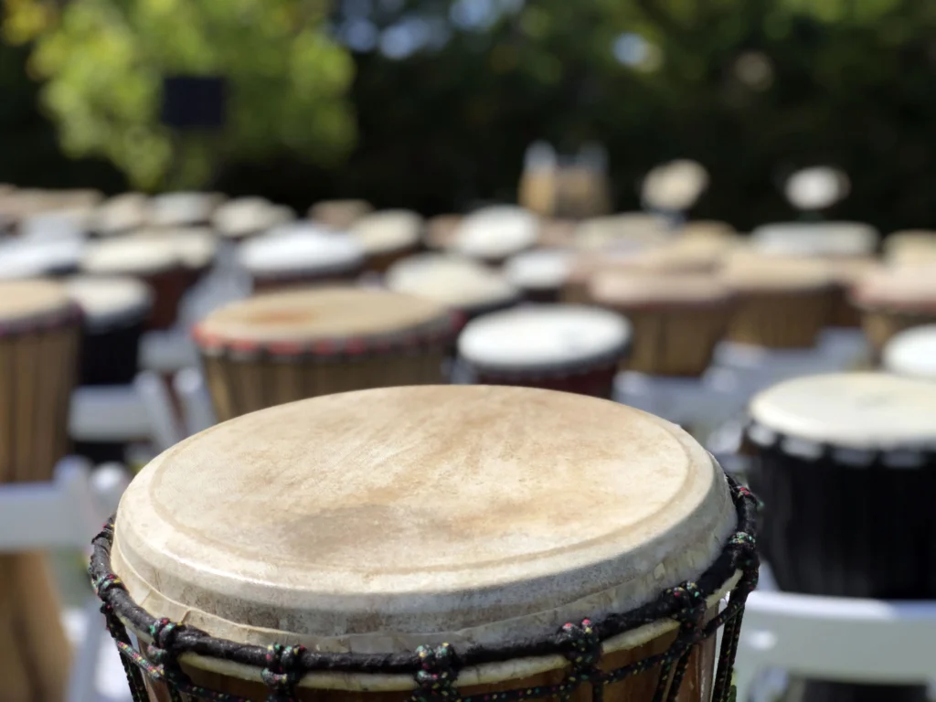 Percumusic - Drums Percumusic - Drums