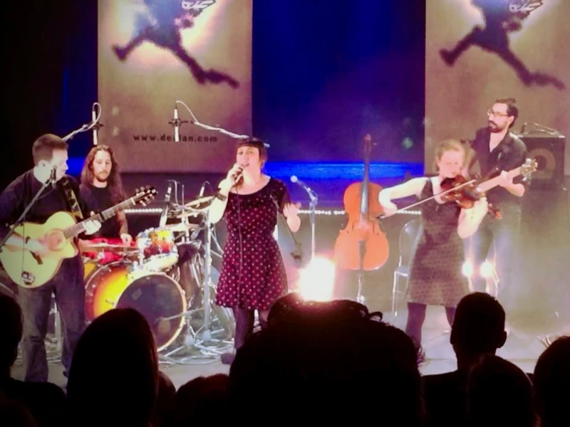 Sonorització i il·luminació per espectacles